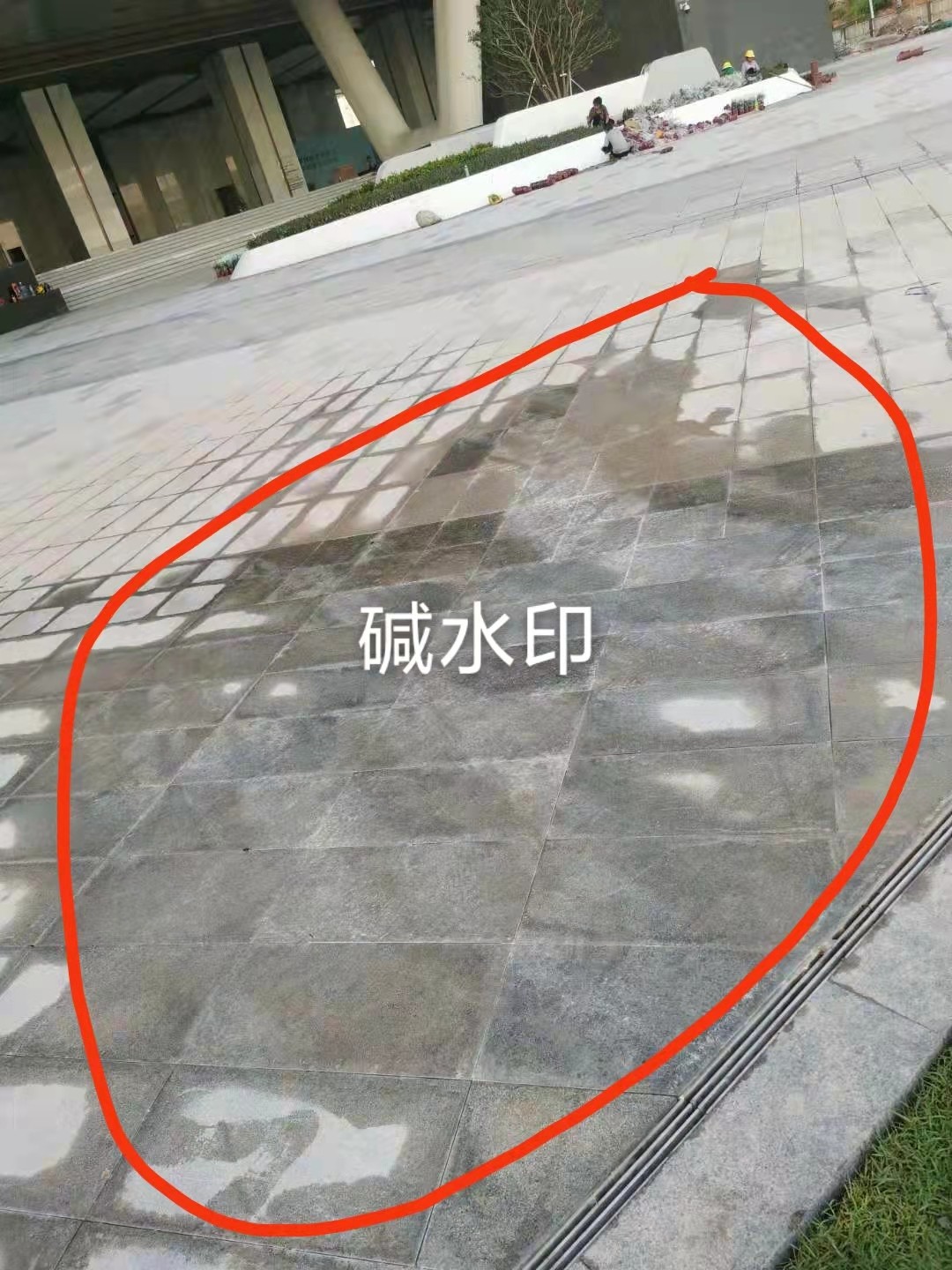 ΢ňDƬ_202109101806471.jpg